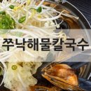 해물손칼국수여가육개장 | [청주 송절동맛집] 쭈낙해물칼국수