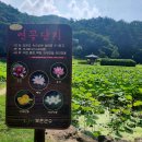 속리산농장 이미지