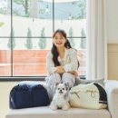 베프마켓 이미지