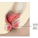 삼성항외과 이미지
