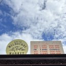 호주면세점 가좌시장점 | 🇦🇺 [호주워홀 D+227~230] 최후의 최후까지 짜낸 투어 / 워홀 종료!