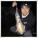 등대세천 | 2019년 제주도 낚시 여행 후기~