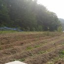 남진만농장 이미지