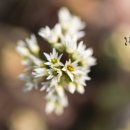 여주-0404 네이버블로그