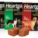 마산플러스약국 이미지