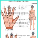 고려수지요법학회 이미지