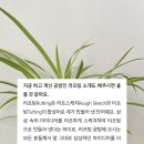러프팅 이미지