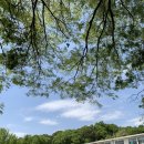 오창초 가좌분교 이미지