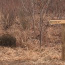 산머루펜션 이미지