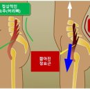 문화연세의원 이미지