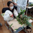 비아중학교 이미지