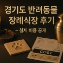 포레스트 캣호텔 | 경기도 반려동물 장례식장 현황과 선택 기준