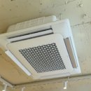 비둘기미용실 이미지