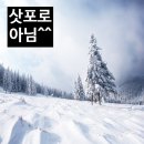 오오도리