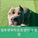 컴투펫 위탁보호센터 | 수원역호텔 컴투펫위탁보호센터 수원점 안전하고 행복한 반려동물 호텔 찾는다면