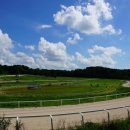 초원목장B 이미지