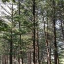 숲뒤농장 이미지