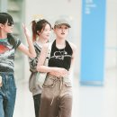 사뿐사뿐 이미지