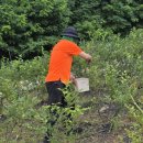 유창농장 이미지