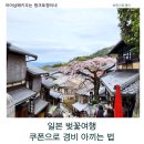 주식회사 유심 | 일본 벚꽃여행 준비쿠폰할인으로 투어·입장권·유심까지 저렴하게 예약하는 방법