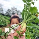 뽑아봅세 이미지