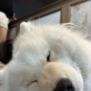 겨울이 머무는 집 | 홍대 겨울이 머무는집 다녀온 내돈내산 후기