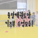 율랑 태권도장 이미지