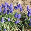 카리스농장 이미지