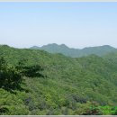 우회도로삼거리(좌) 이미지