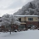 장태산자작나무펜션 이미지