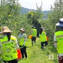 김상수 농장 이미지