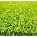 사등마을회관 이미지