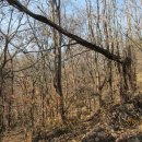 안동여자중학교 이미지