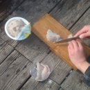 토도수산 이미지