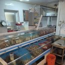 바다드림 이미지