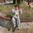 수치킨 | KEEN 킨 뉴포트 h2 샌들 리틀키즈 사이즈 팁 2탄