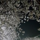 GS25 울산삼호점 이미지