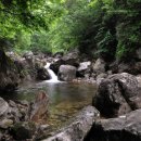 금대자동차야영장(치악산국립공원) 이미지