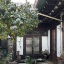 완산방-10 | 전주 한옥마을 근처 혼여 숙소 교동살래 과꽃방 솔직후기