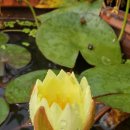 정례농장 이미지