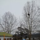 부산외국어대학교체육관 이미지