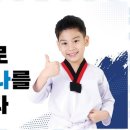 새빛 태권도 네이버블로그