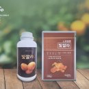 제주아그로 이미지