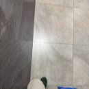 강릉농자재마트 | 배추농사 경기도 배추심는시기, 심는방법, 모종 가격 등 배추 심기