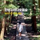 동강길(문화생태탐방로) 화장실 | 제주 걷기좋은 숲길 한남사려니오름숲 : 탐방 기간 시간 예약 코스 소요시간 주차