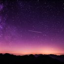 신선량 | 루꼴라루콜라 아루굴라, 로켓 샐러드) 루꼴라의 효능, 저장 방법, 루꼴라 활용 레시피, 루꼴라 피자