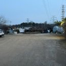 통나무숲 | [안산 맛집] 통나무숲_ 산장 감성 쭈꾸미집 메뉴&amp;후기