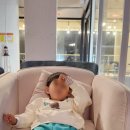 다리섬카페 이미지