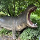 우석헌자연사박물관 이미지