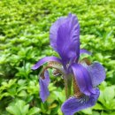 한전자동차공업사 이미지